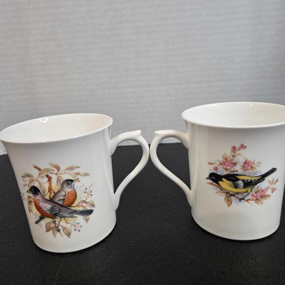 Queen's Rosina Fine Bone China Coffee Mugs Birds of America Series 1 Set of 2 - Picture 2 of 10